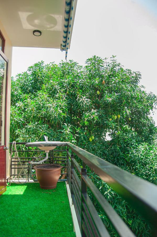 Golden Soulmate Homestay Hoi An Exterior foto
